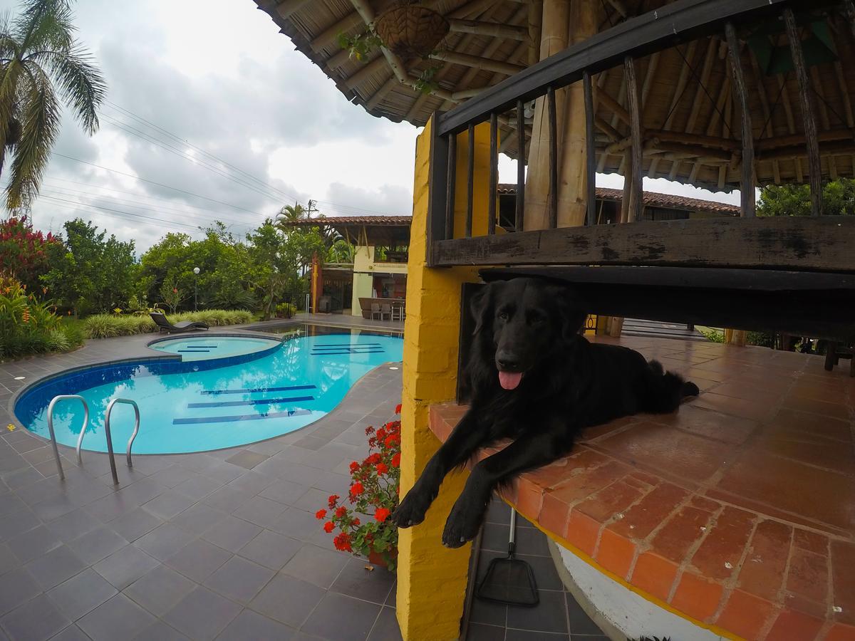 Finca Hotel La Quinta Porra Armenia  Zewnętrze zdjęcie